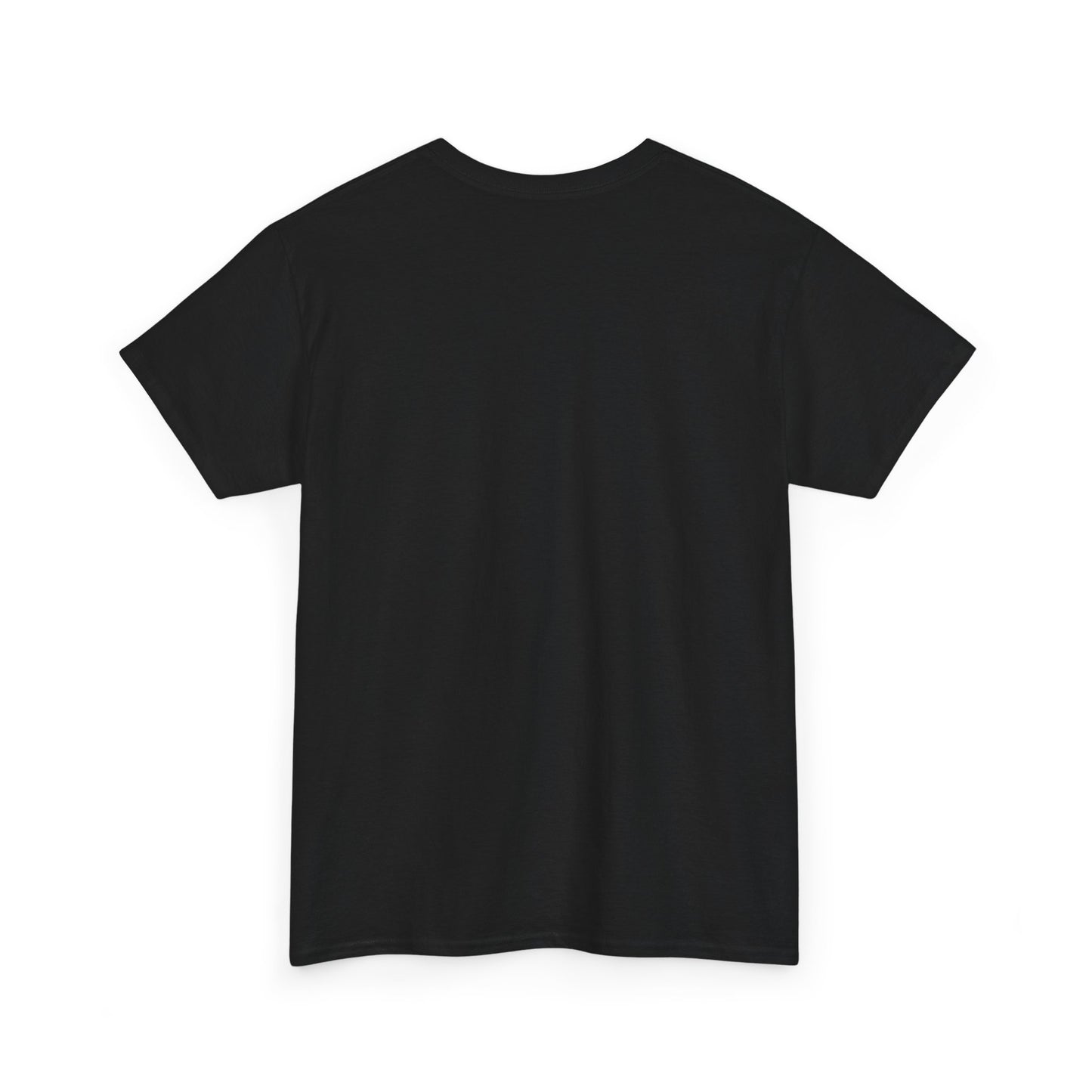 PTSD Awareness T-Shirt – “My PTSD Has PTSD” Graphic Tee