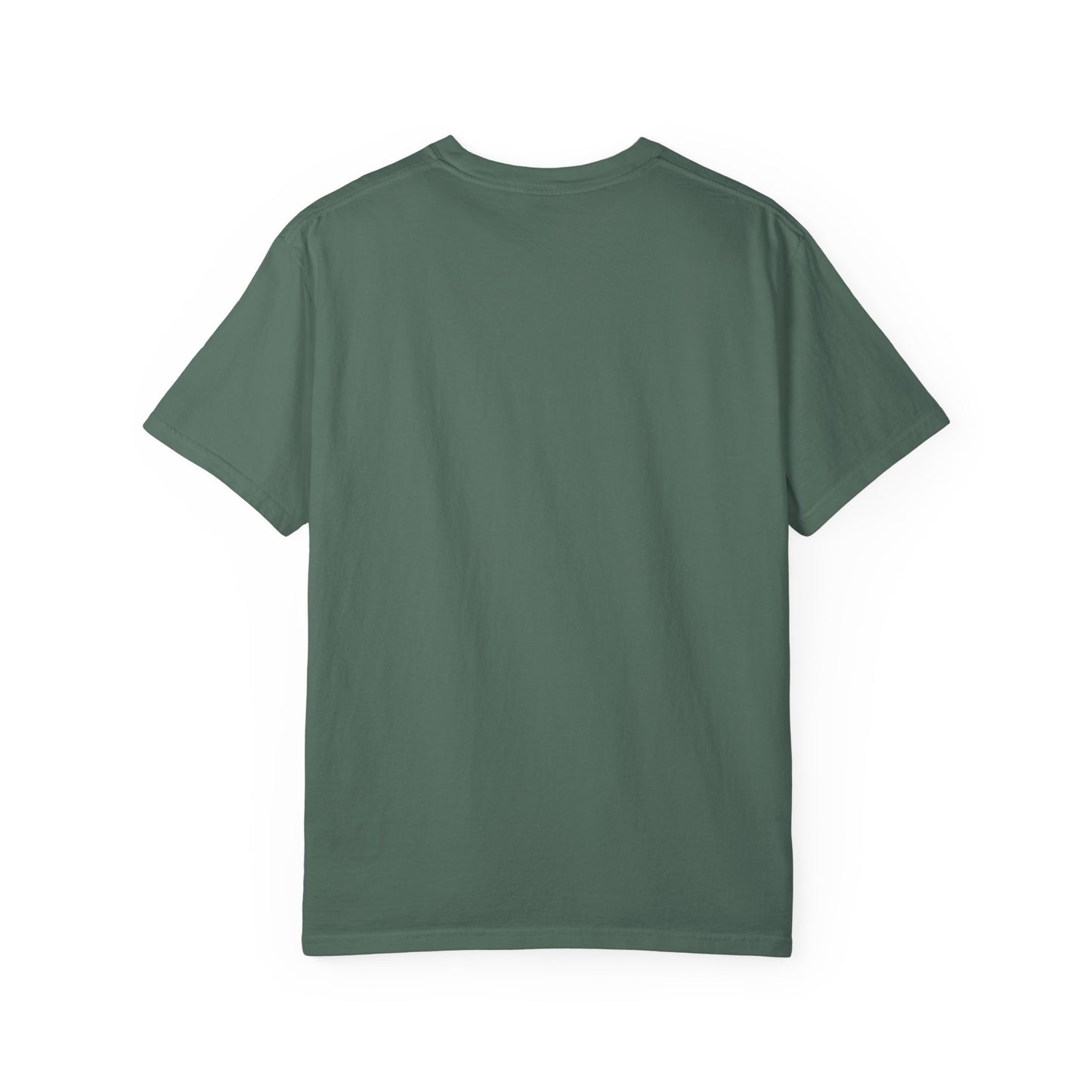 Me and My Cat T-Shirt — Soft Vintage Tee