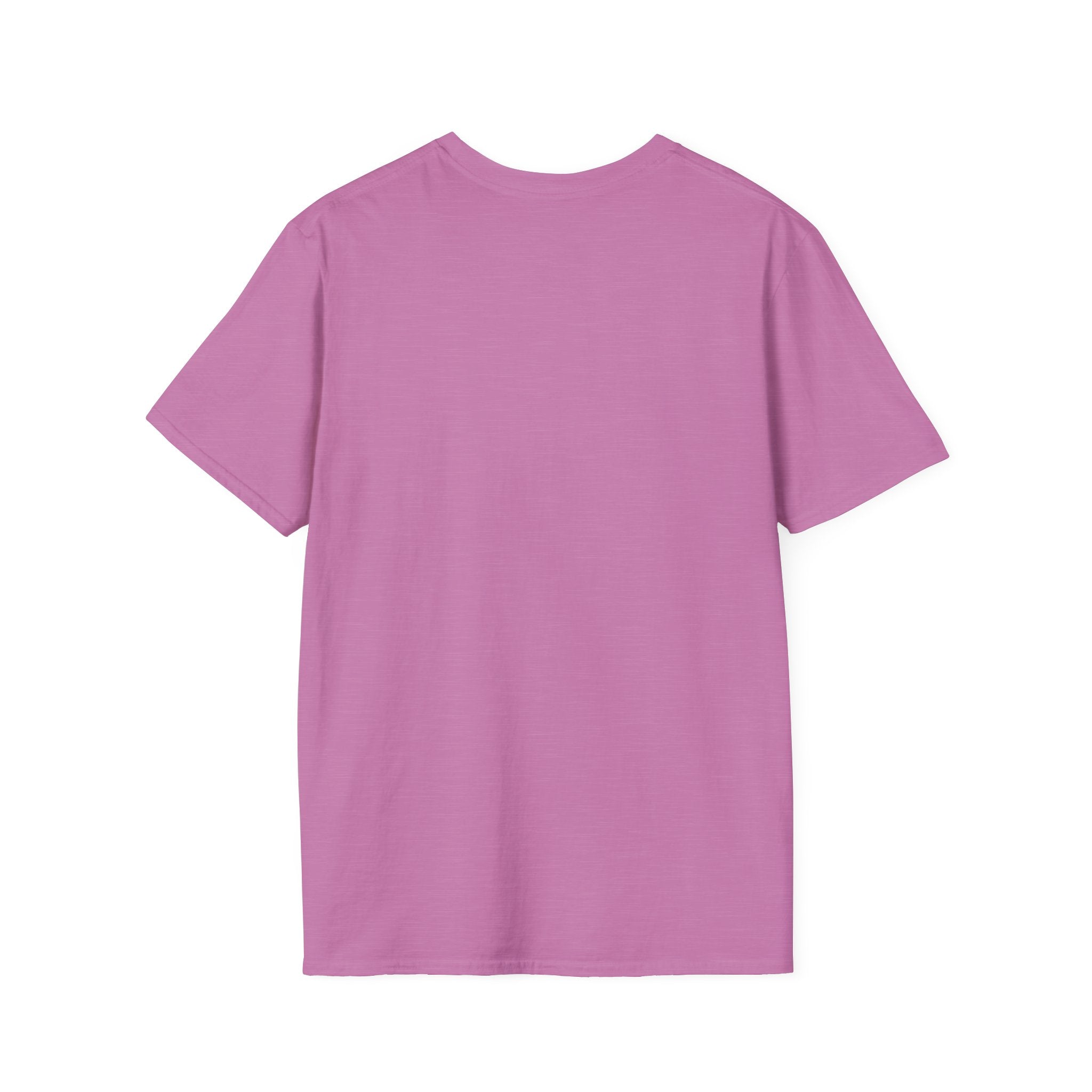 Divorce Final T-Shirt