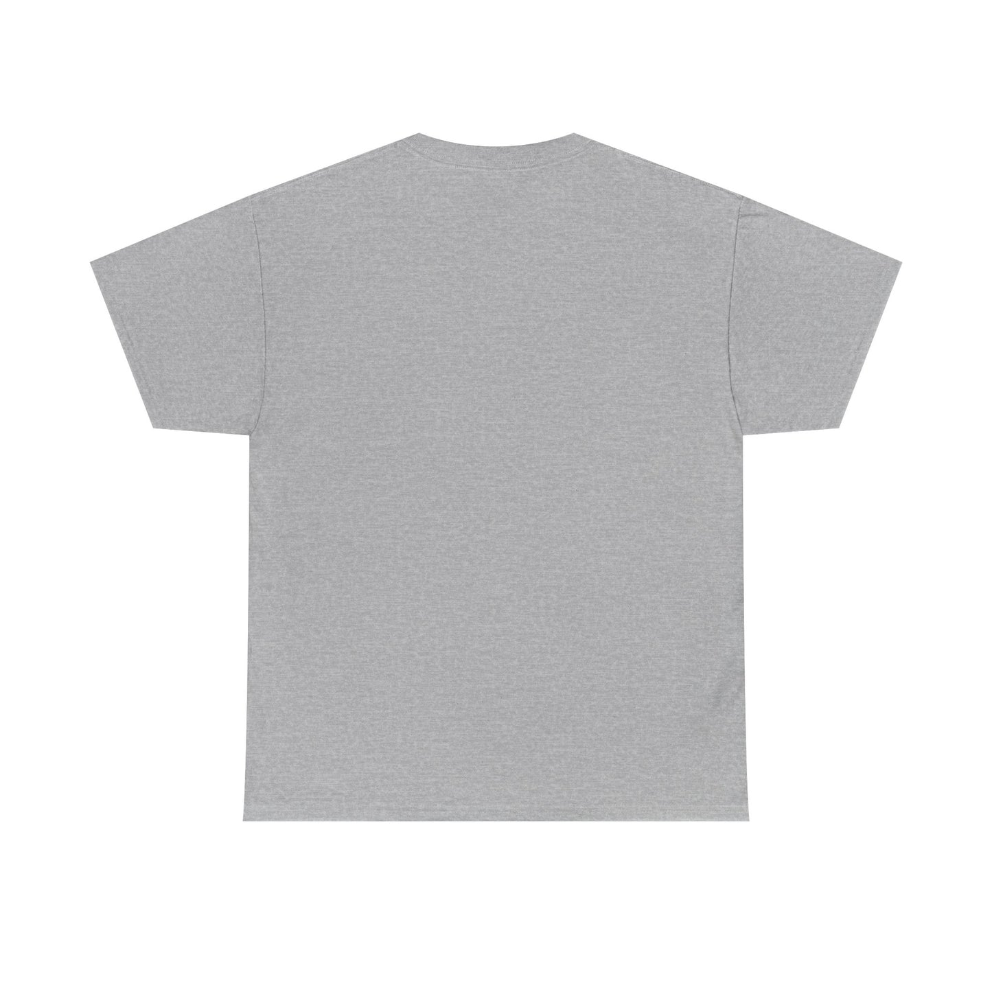 PTSD Awareness T-Shirt – “My PTSD Has PTSD” Graphic Tee