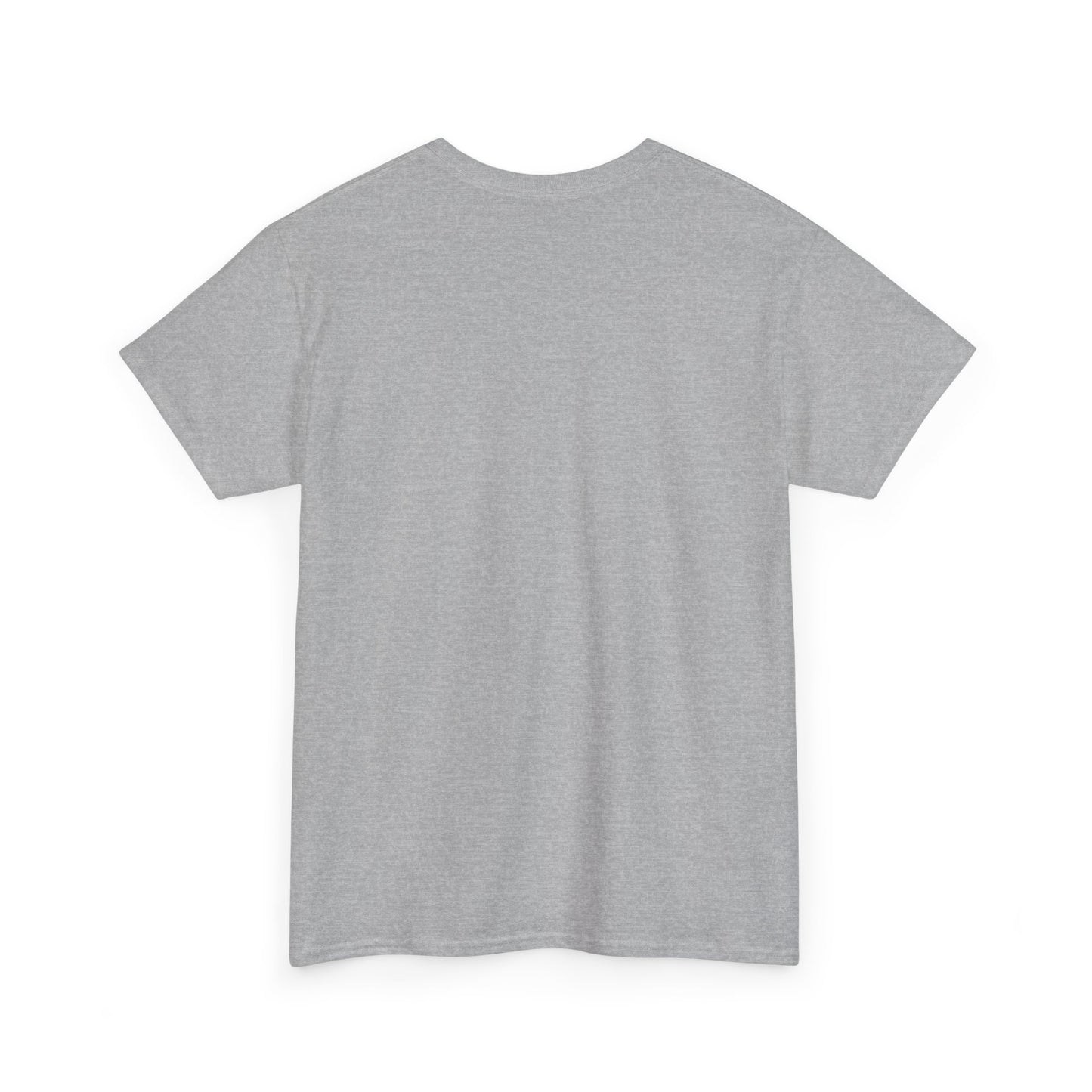 PTSD Awareness T-Shirt – “My PTSD Has PTSD” Graphic Tee