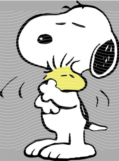 Snoopy's Best Squeeze DTF Transfer